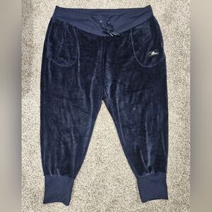 Adidas women's blue velvet joggers
